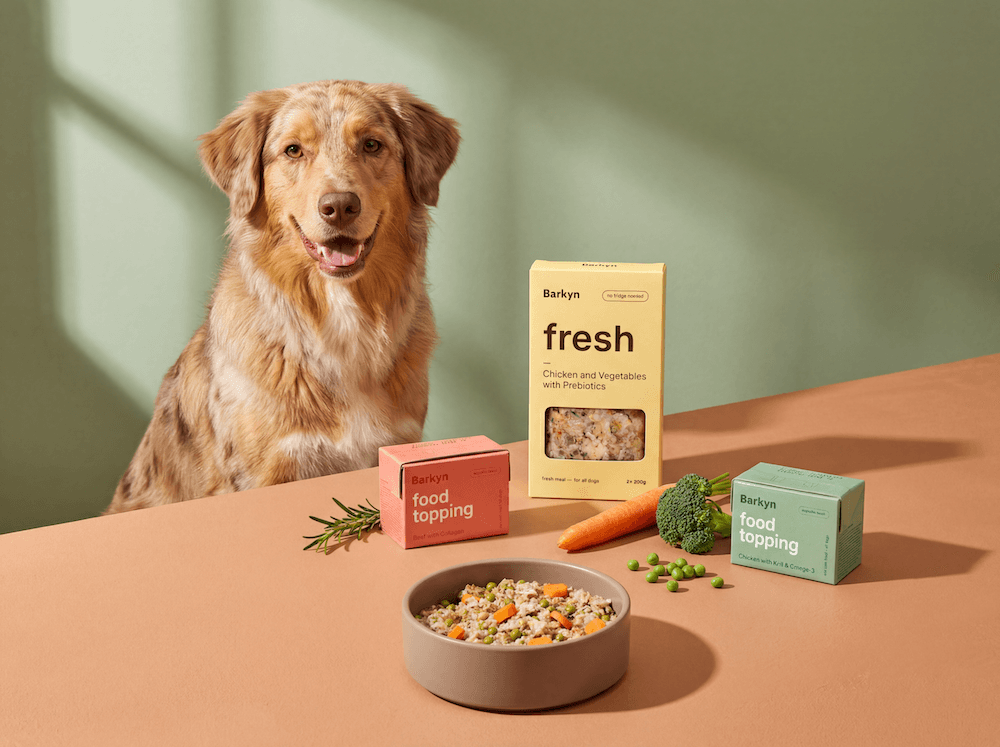 Dog looking up at owner with empty food bowl