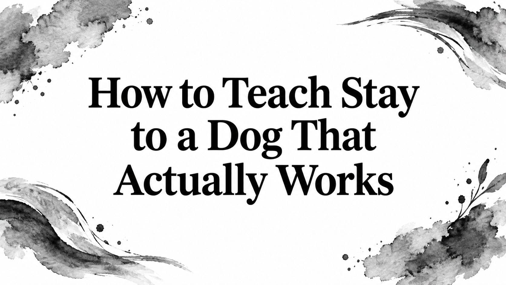 How to Teach Stay to a Dog That Actually Works