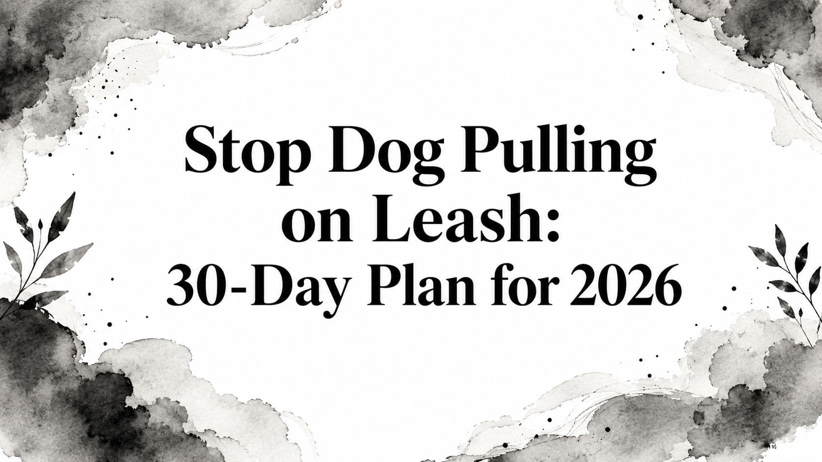 Stop Dog Pulling on Leash: 30-Day Plan for 2026