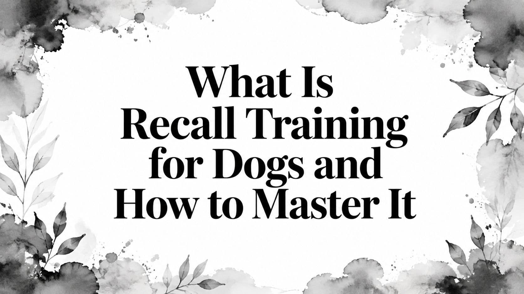 What Is Recall Training for Dogs and How to Master It