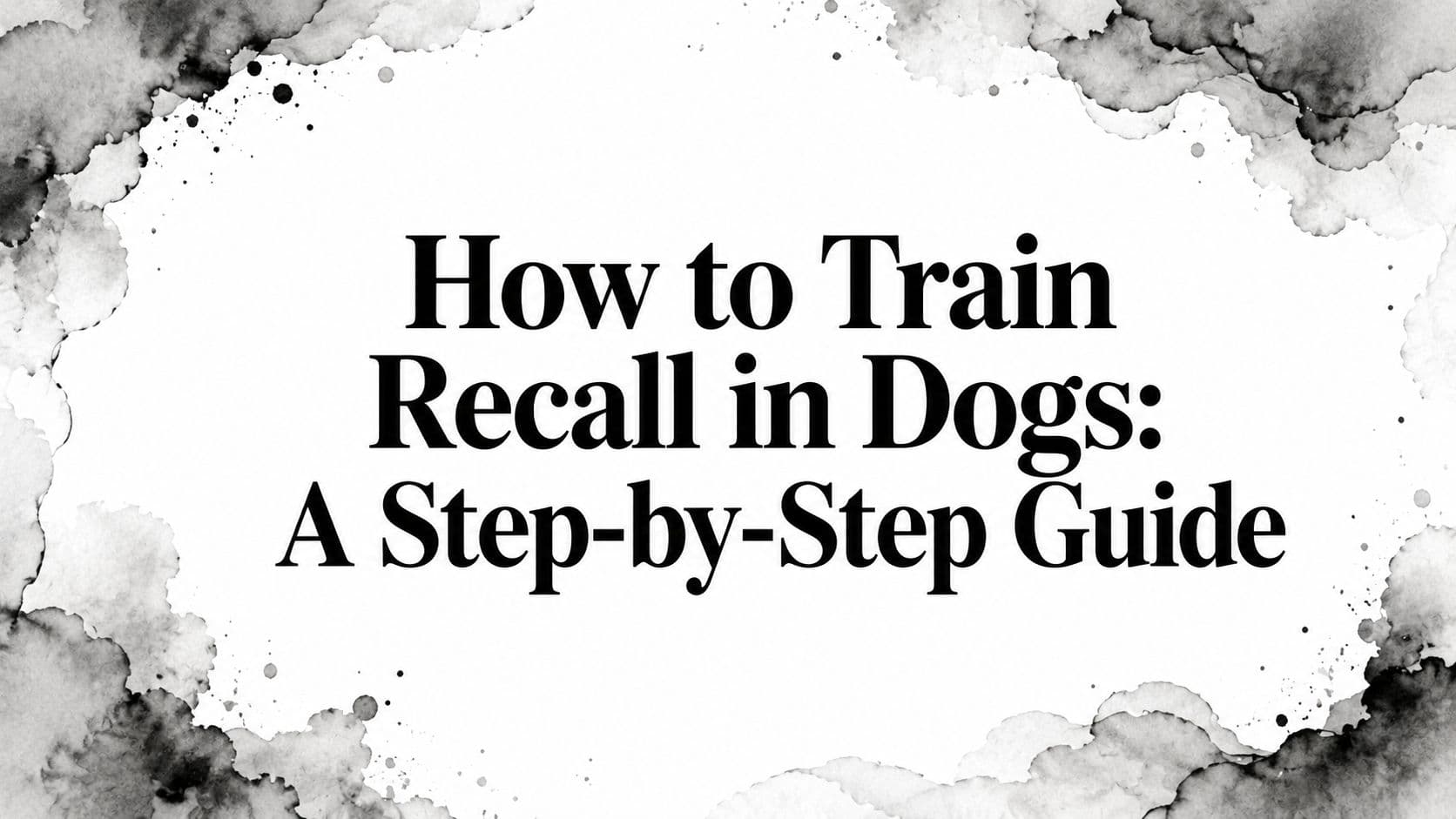 How to Train Recall in Dogs: A Step-by-Step Guide