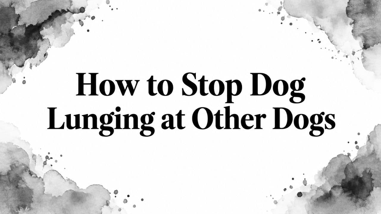 How to Stop Dog Lunging at Other Dogs