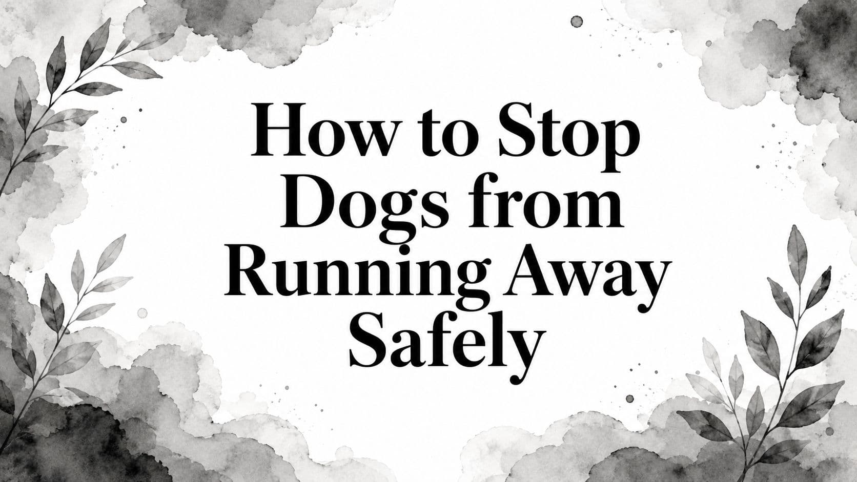 How to Stop Dogs from Running Away Safely