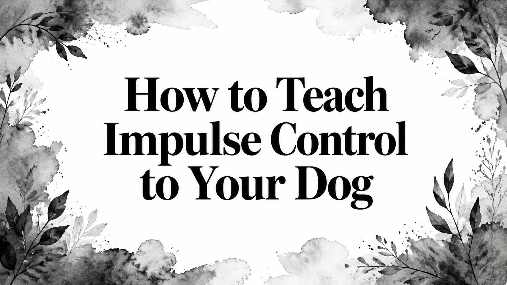 How to Teach Impulse Control to Your Dog