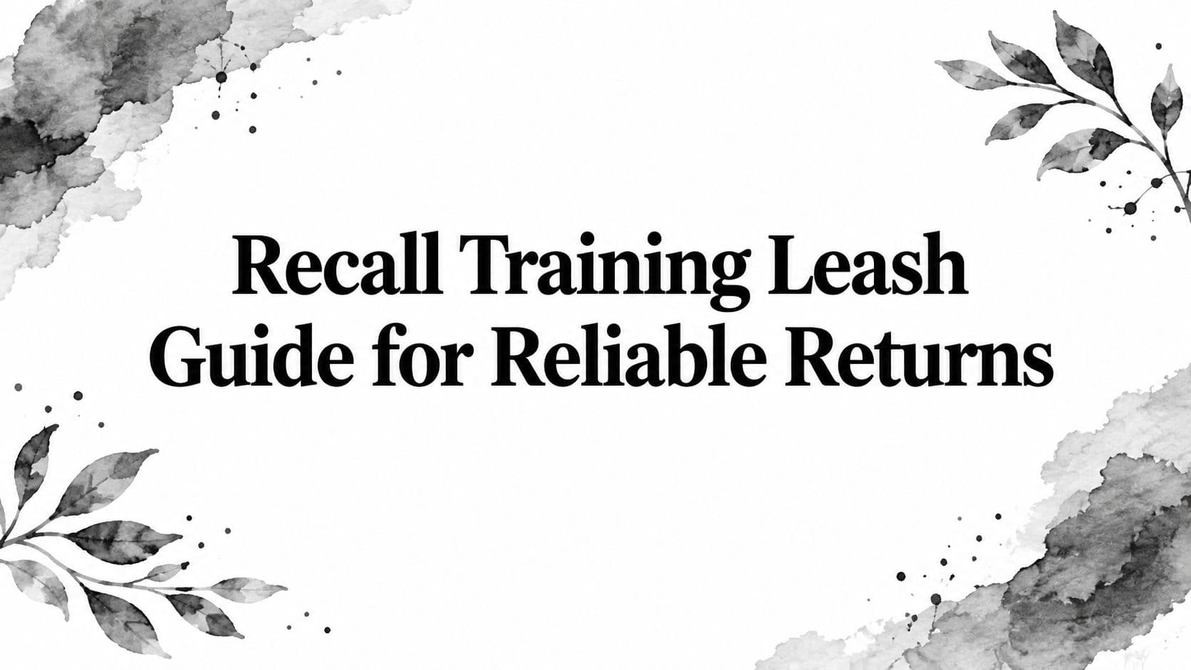 Recall Training Leash Guide for Reliable Returns