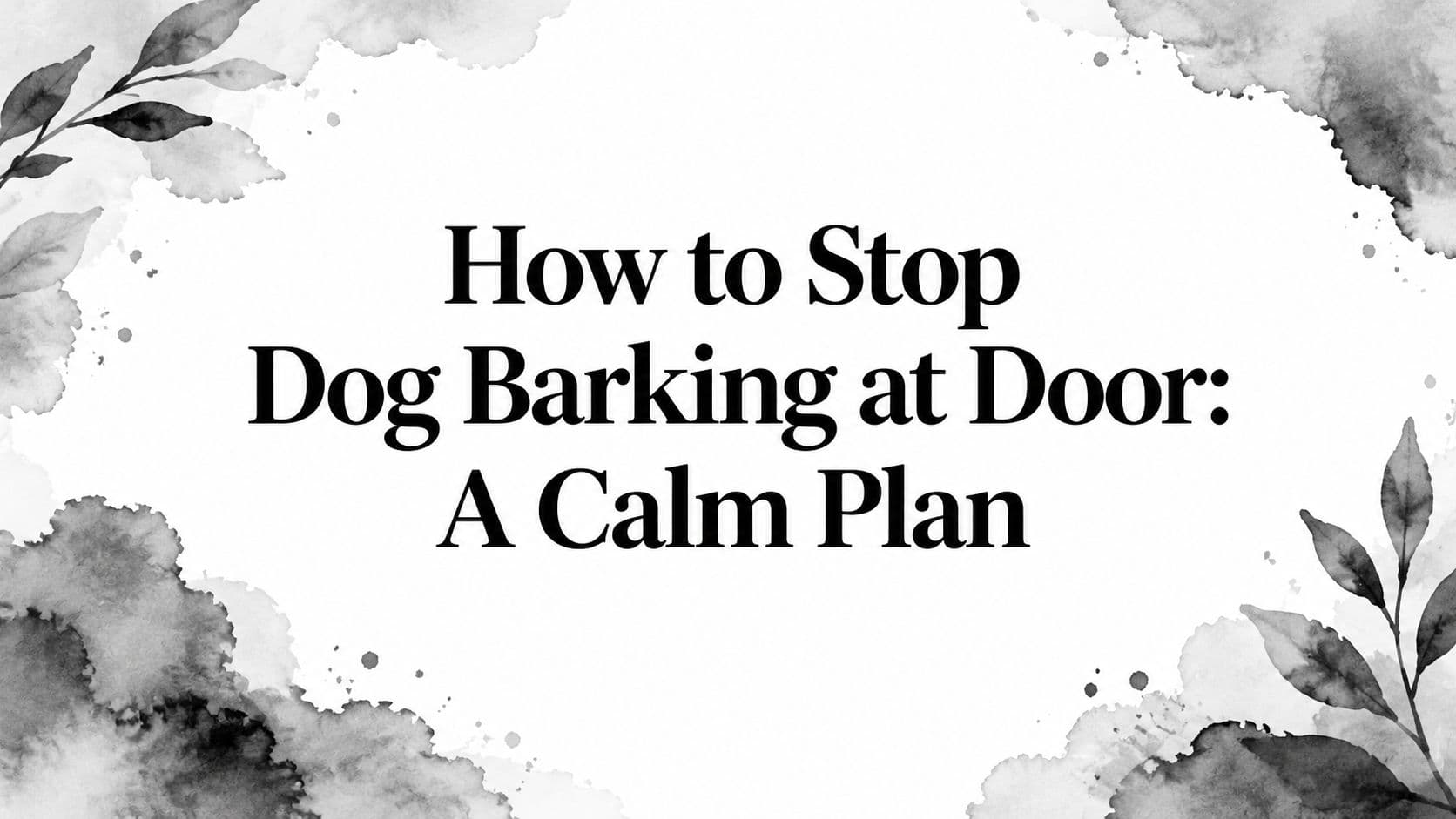 How to Stop Dog Barking at Door: A Calm Plan
