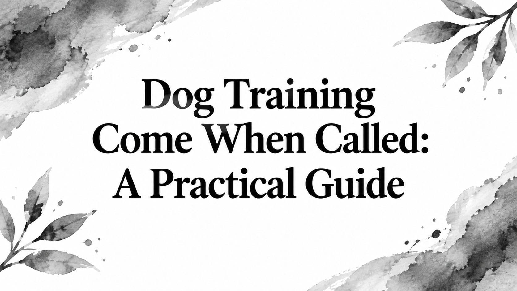 Dog Training Come When Called: A Practical Guide