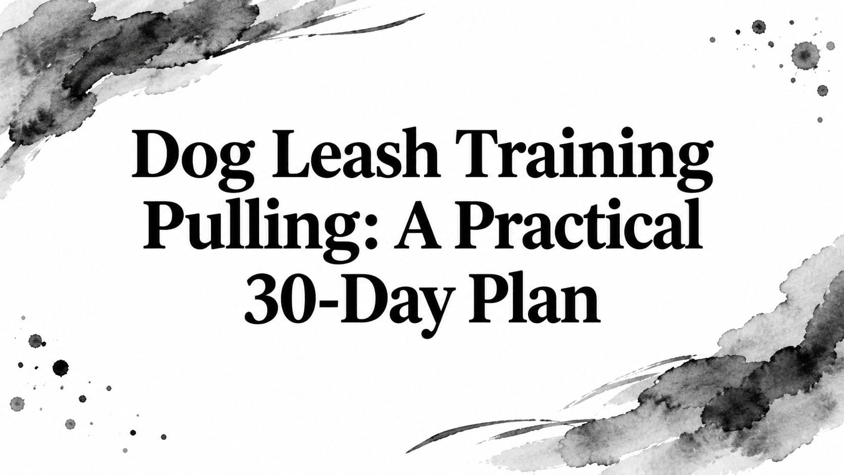 Dog Leash Training Pulling: A Practical 30-Day Plan
