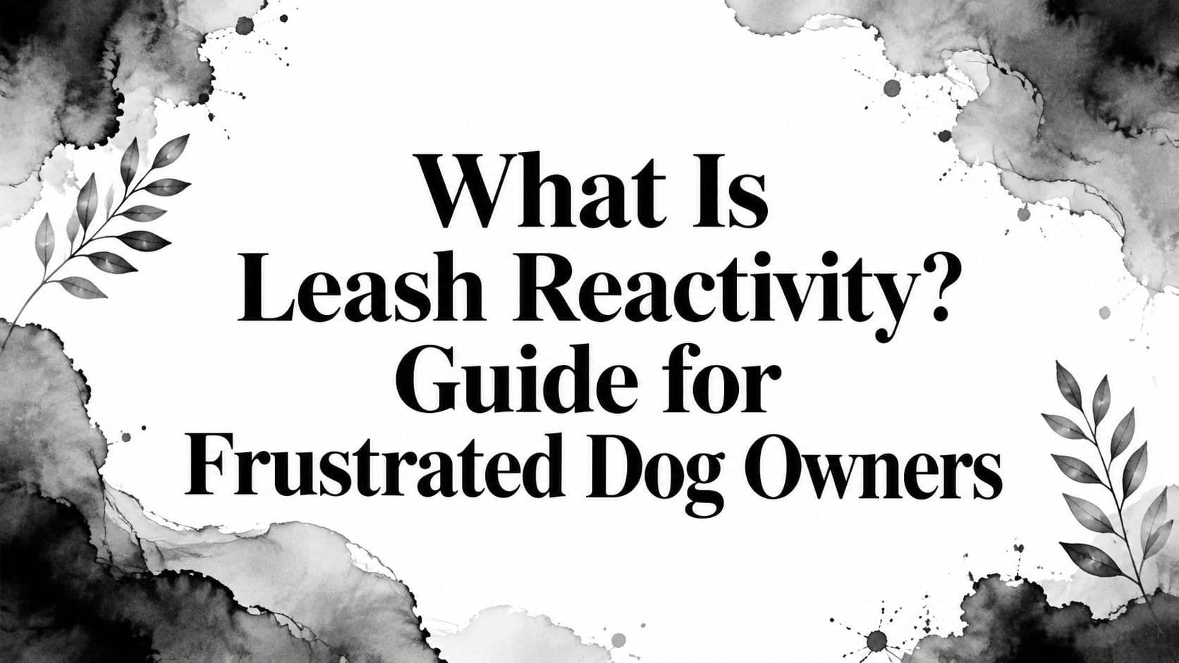 What Is Leash Reactivity? Guide for Frustrated Dog Owners