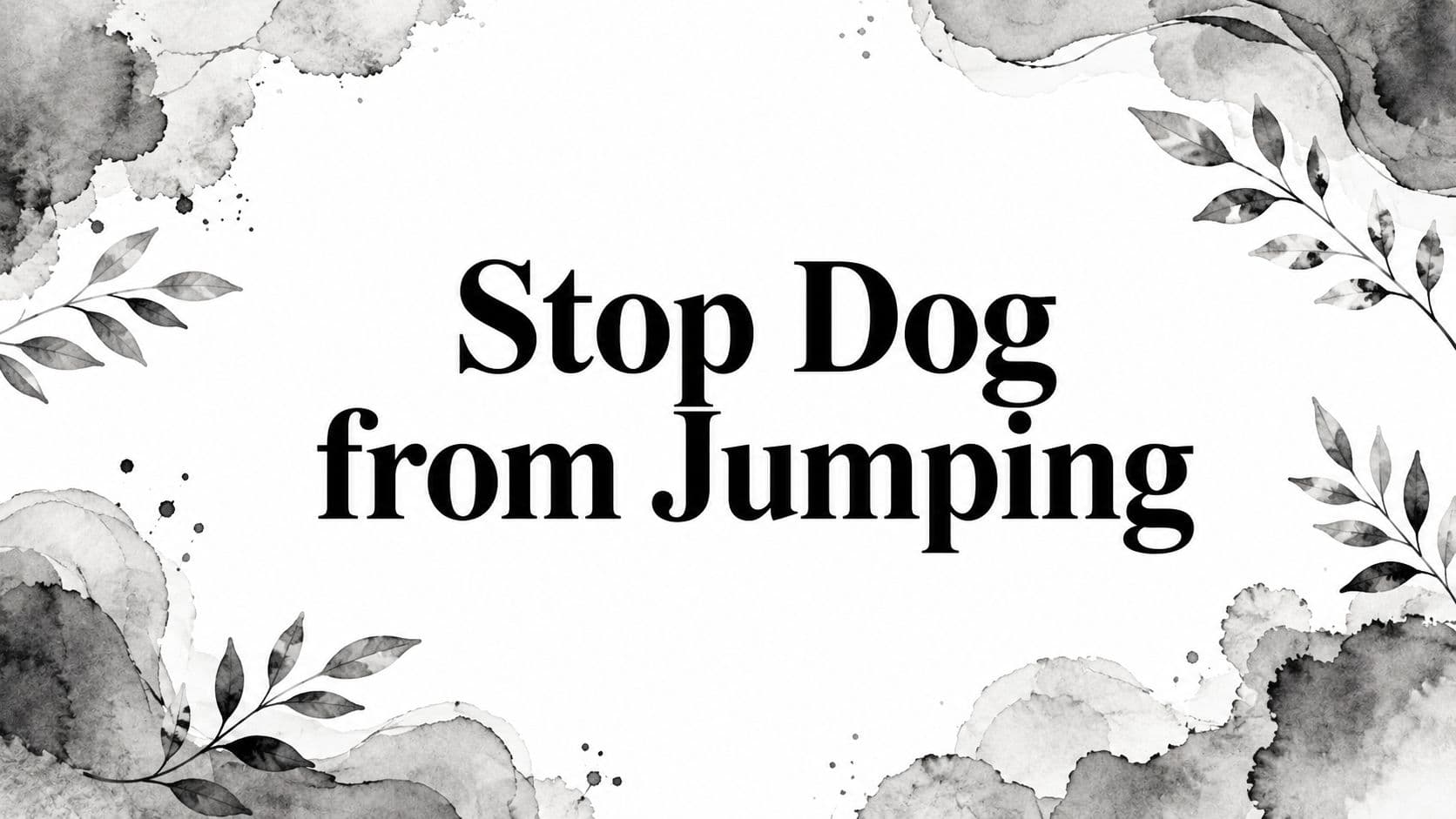 Stop Dog from Jumping