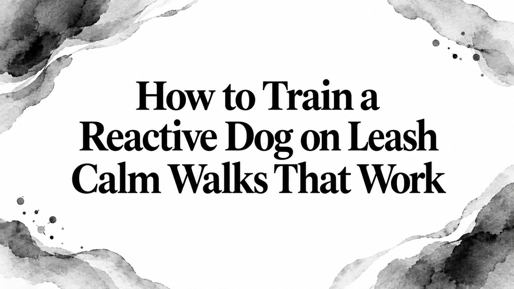How to Train a Reactive Dog on Leash Calm Walks That Work