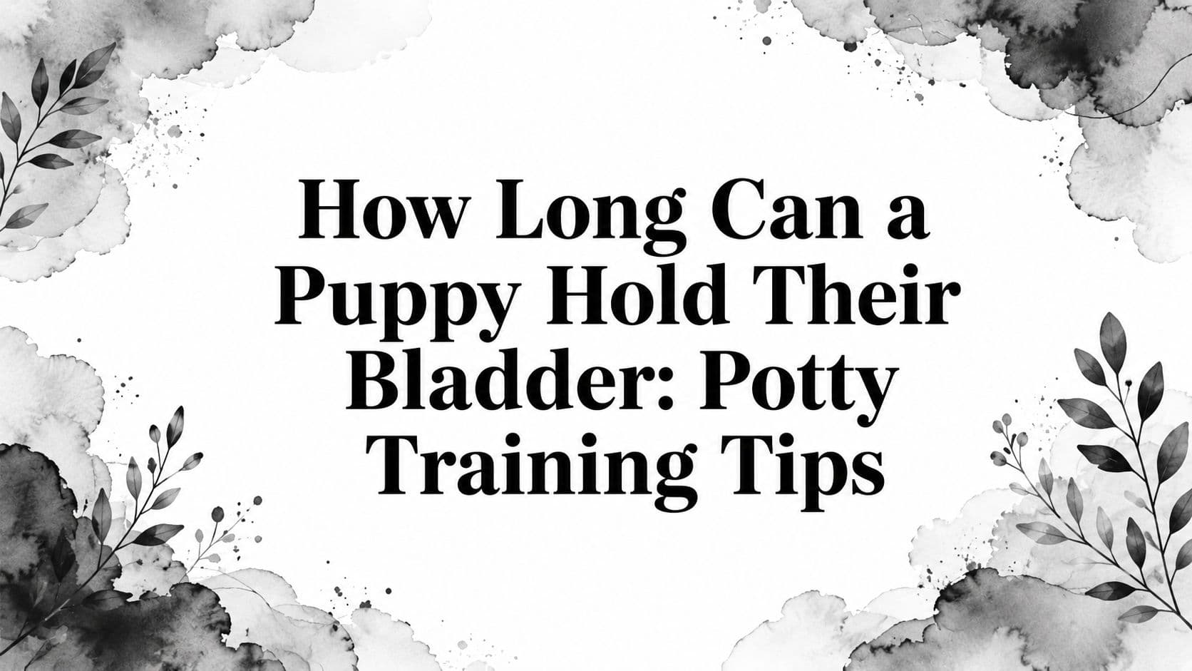 How Long Can a Puppy Hold Their Bladder: Potty Training Tips