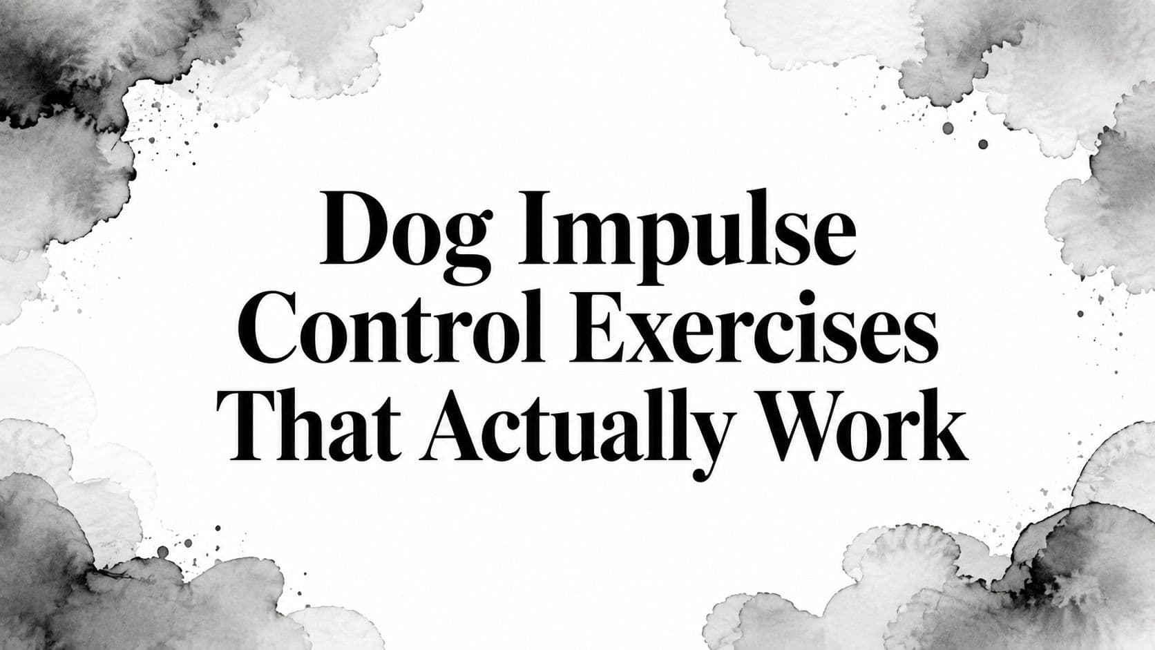 Dog Impulse Control Exercises That Actually Work