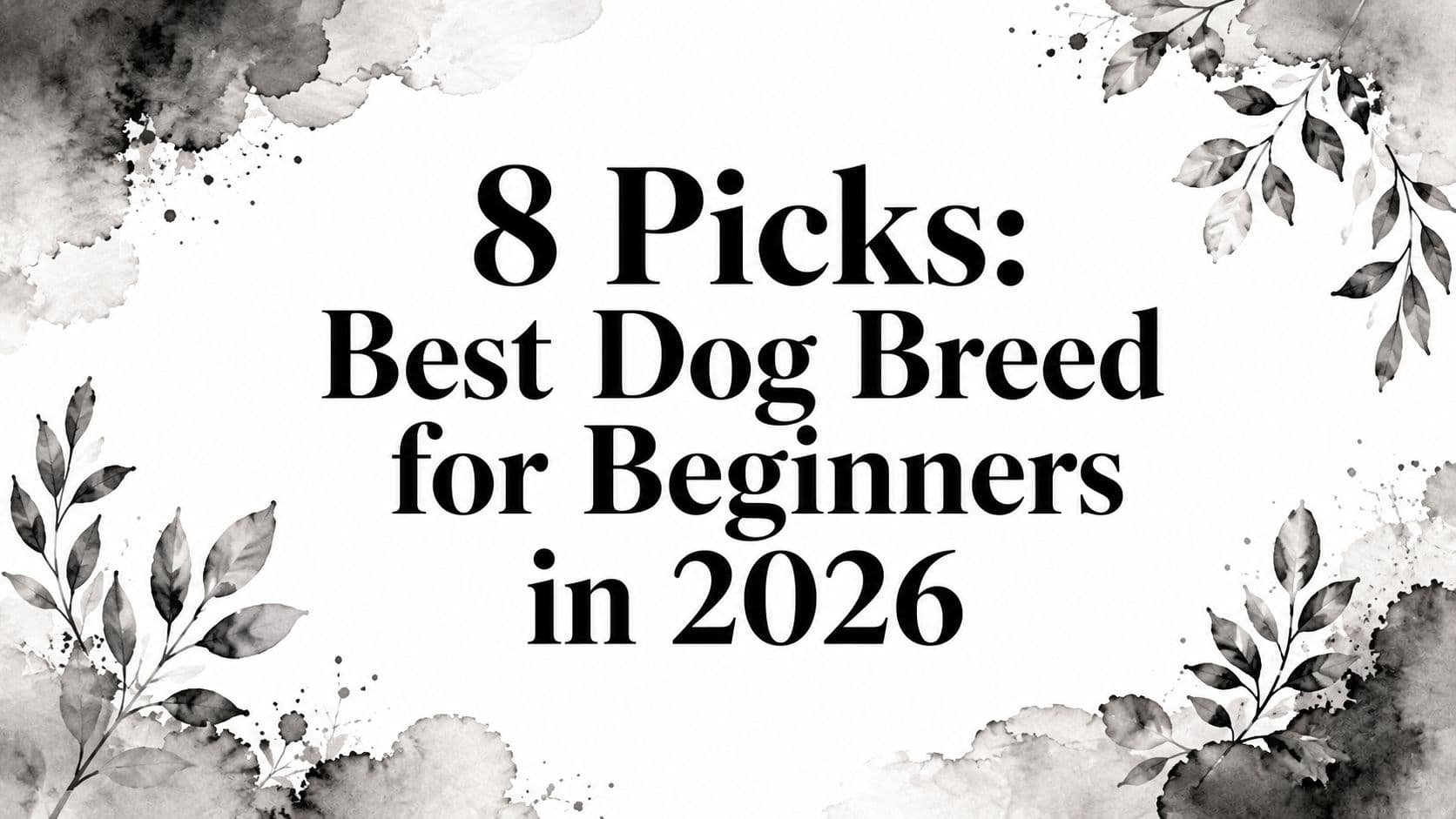 8 Picks: Best Dog Breed for Beginners in 2026