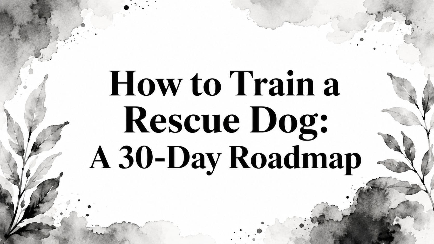 How to Train a Rescue Dog: A 30-Day Roadmap