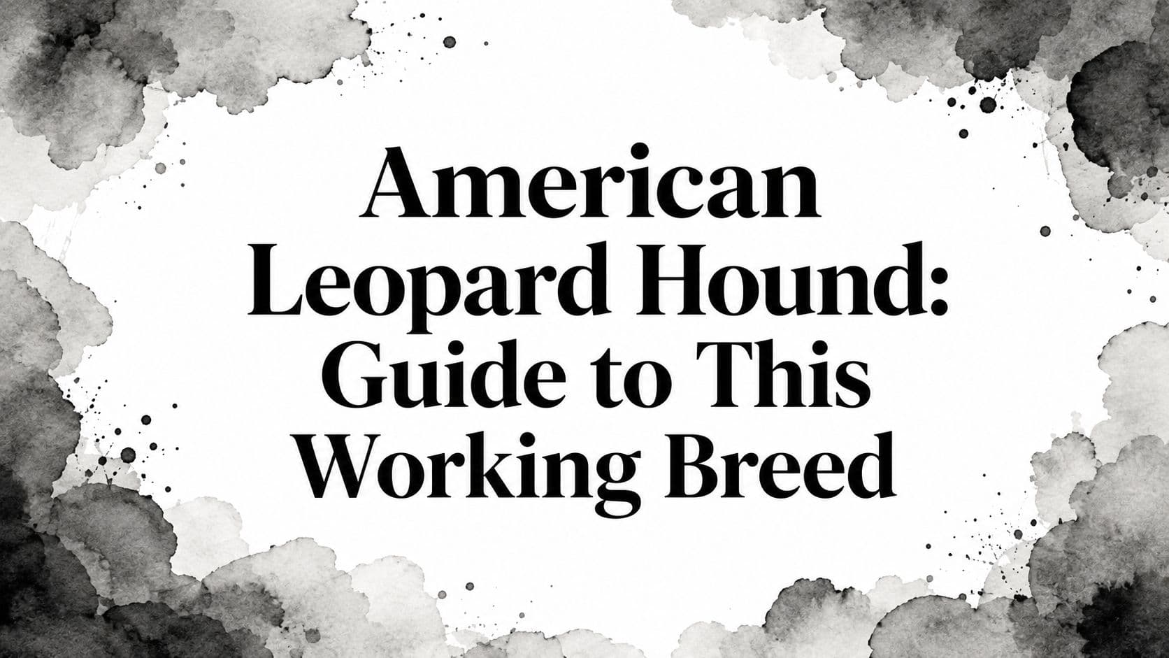 American Leopard Hound: Guide to This Working Breed