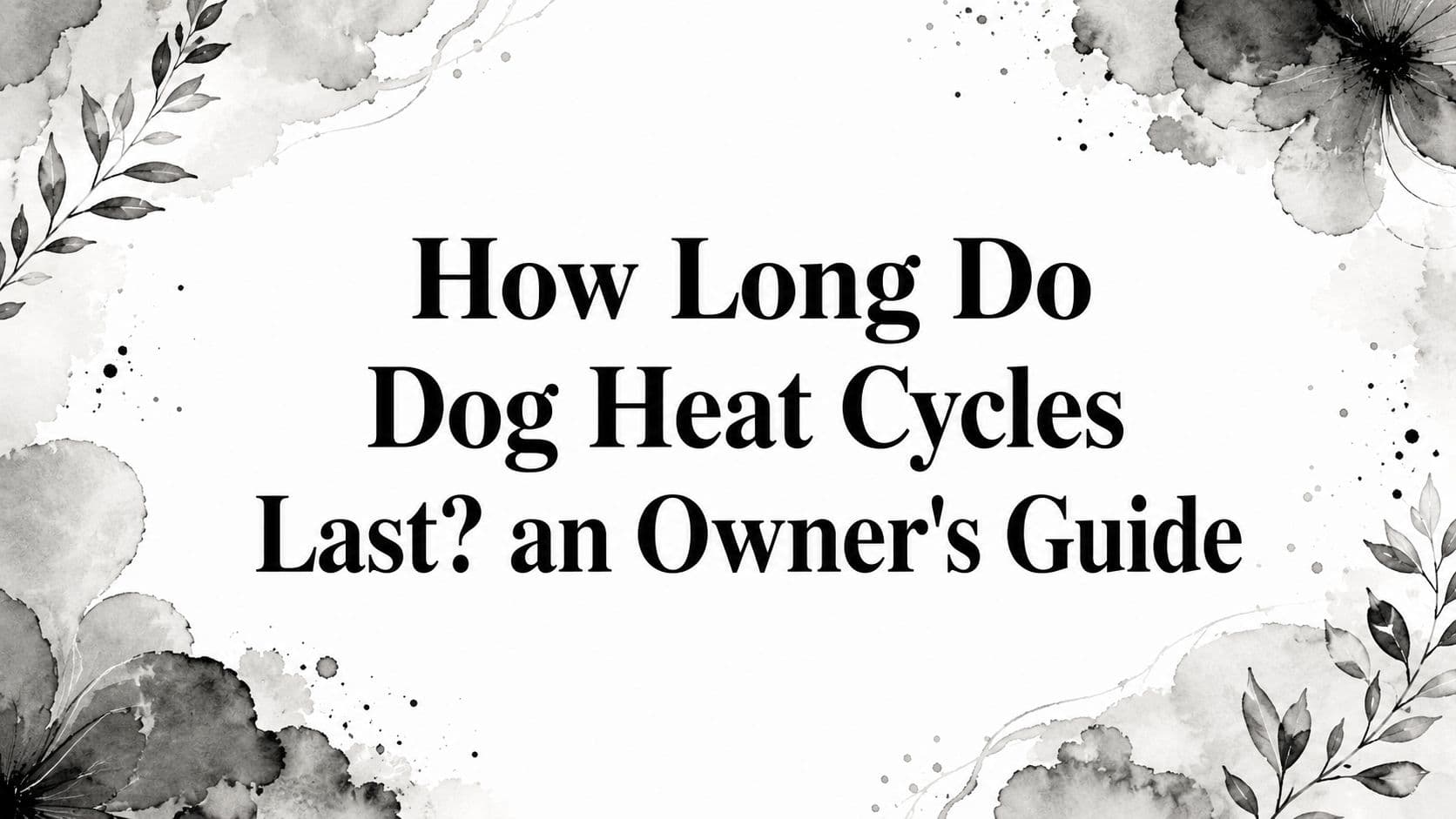 How Long Do Dog Heat Cycles Last? an Owner's Guide