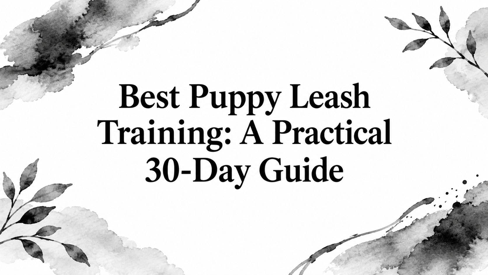 Best Puppy Leash Training: A Practical 30‑Day Guide
