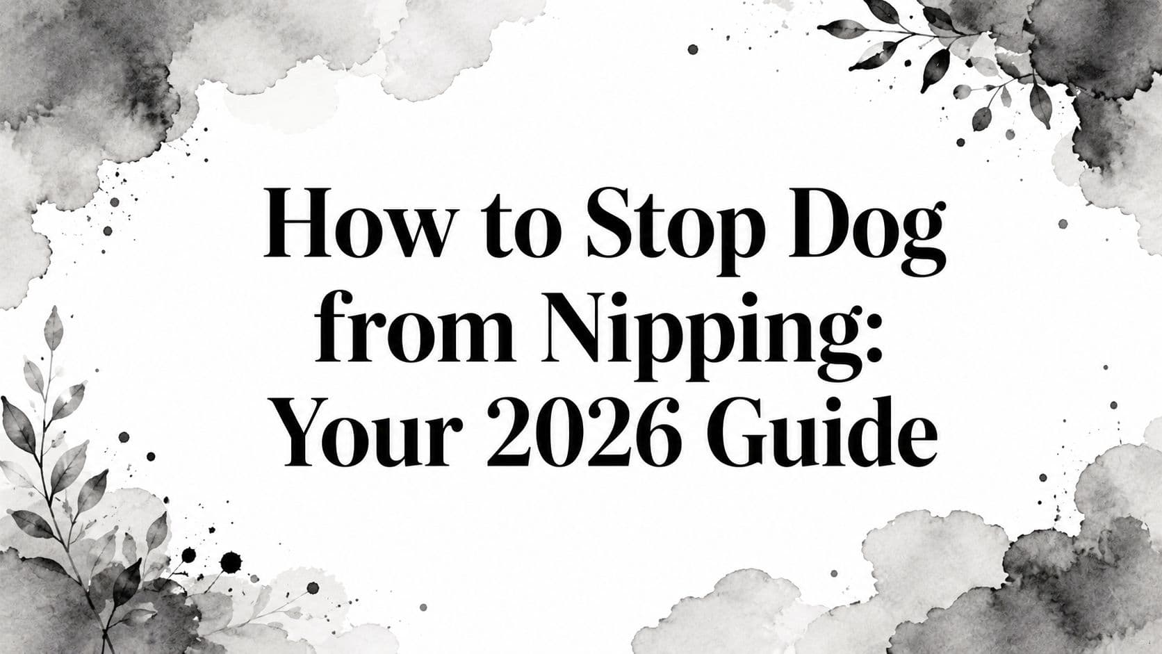How to Stop Dog from Nipping: Your 2026 Guide