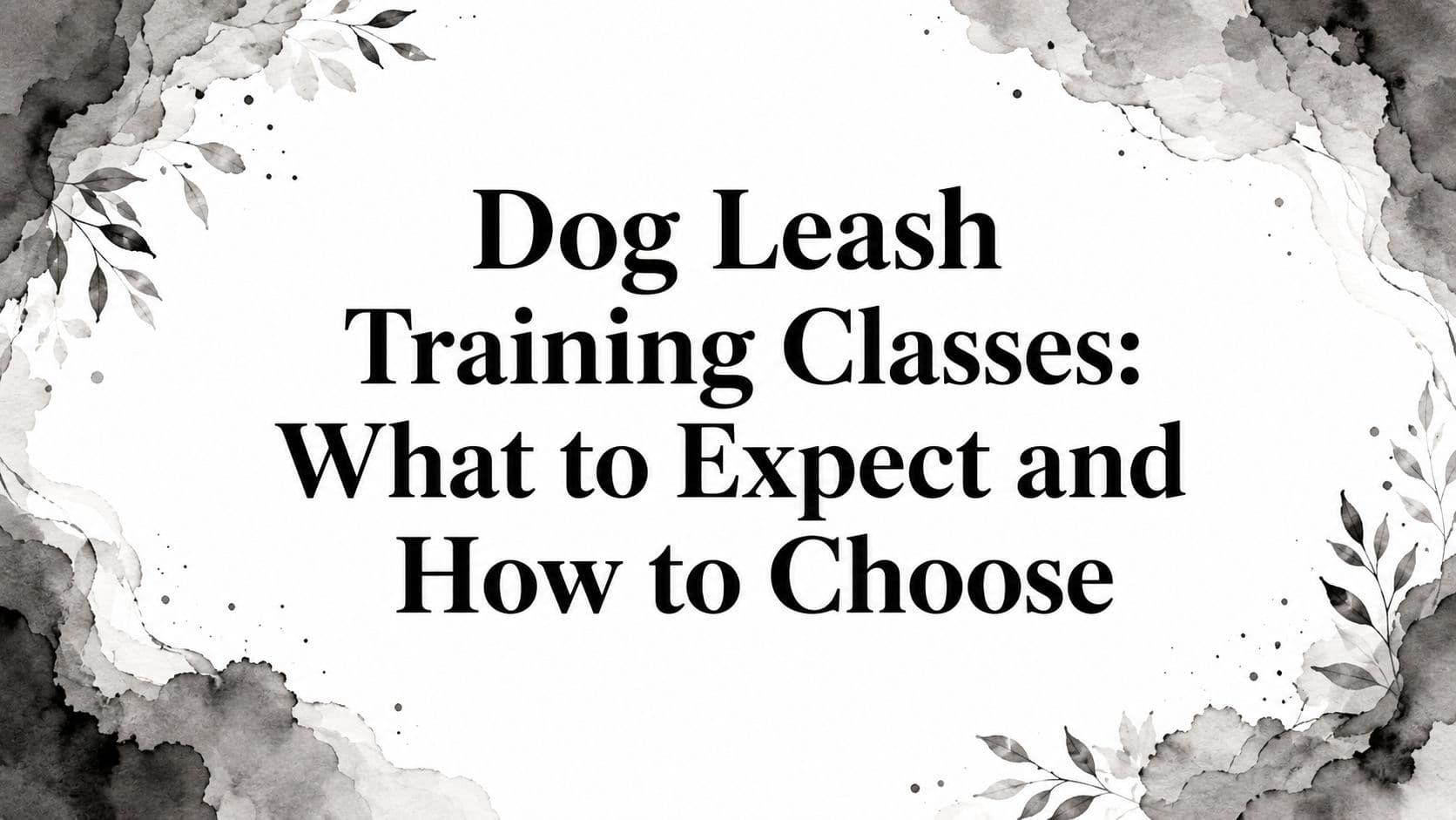 Dog Leash Training Classes: What to Expect and How to Choose