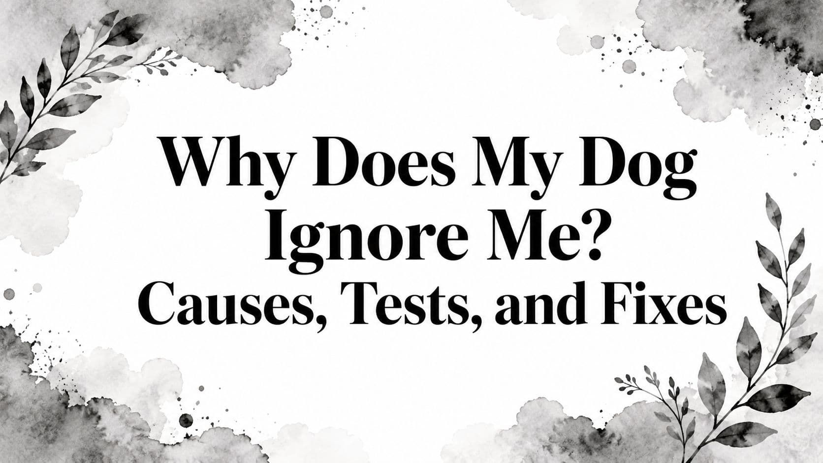 Why Does My Dog Ignore Me? Causes, Tests, and Fixes
