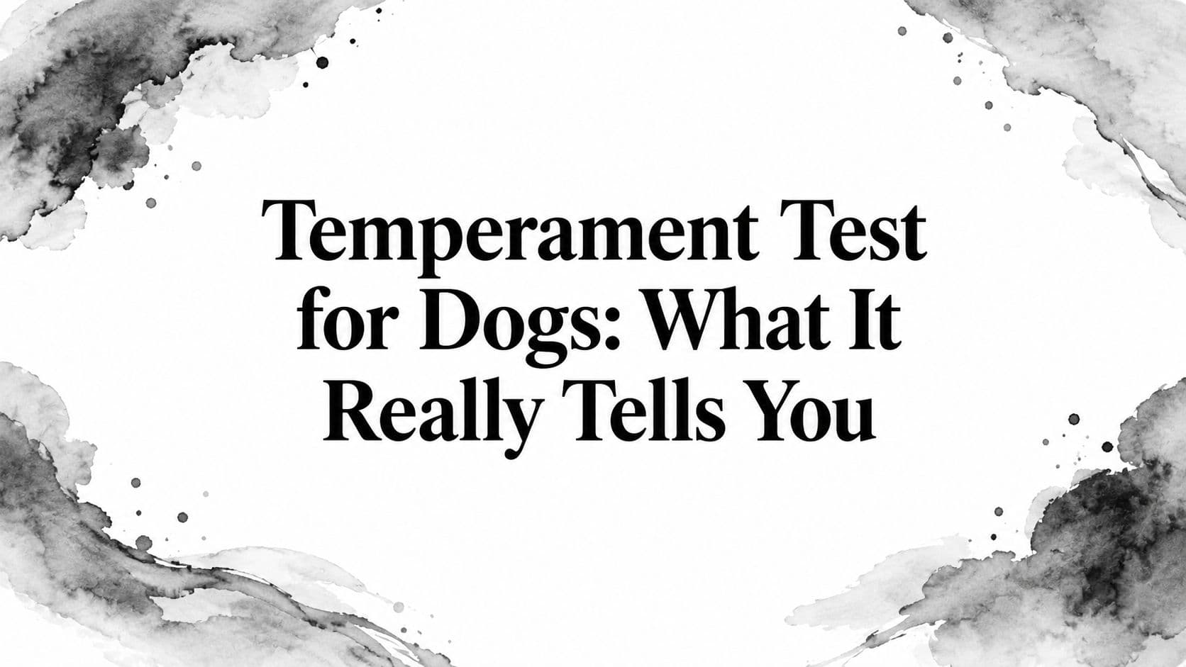 Temperament Test for Dogs: What It Really Tells You