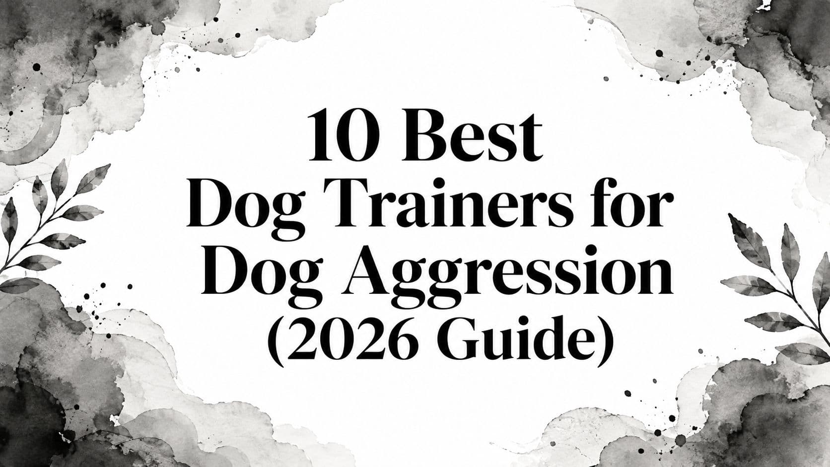 10 Best Dog Trainers for Dog Aggression (2026 Guide)