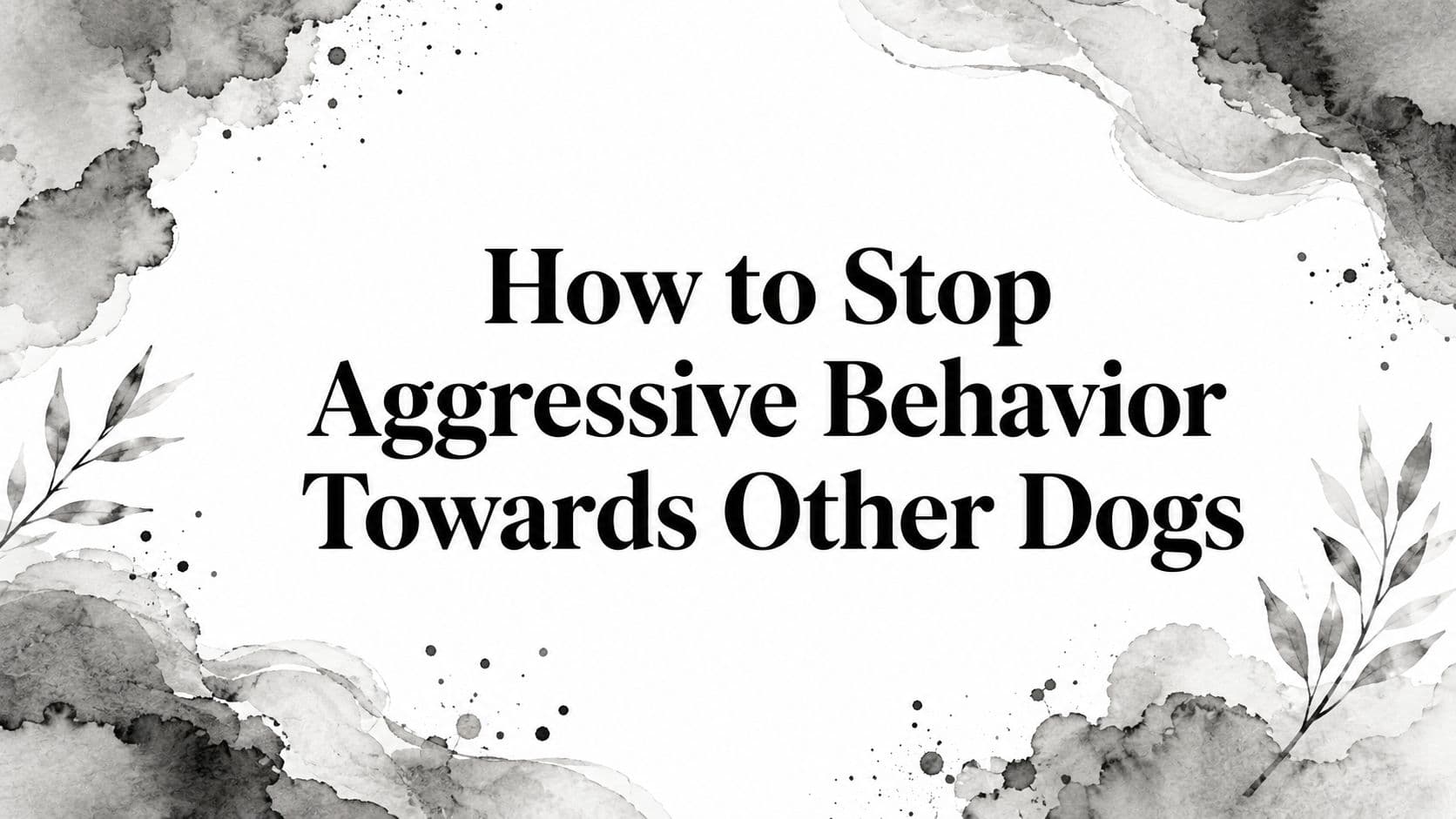How to Stop Aggressive Behavior Towards Other Dogs