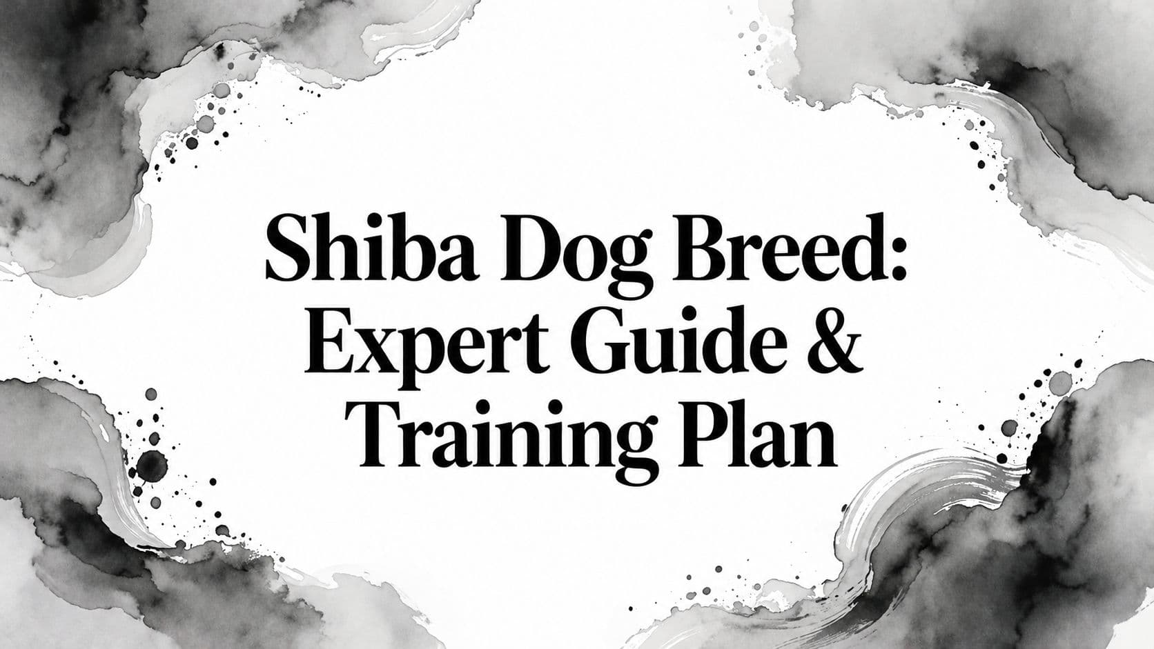 Shiba Dog Breed: Expert Guide & Training Plan
