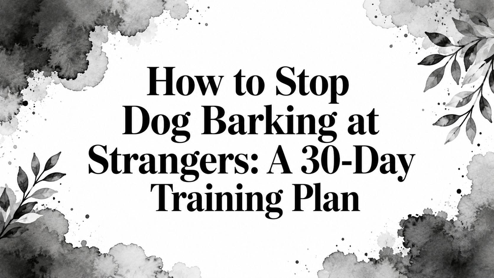 How to Stop Dog Barking at Strangers: A 30-Day Training Plan