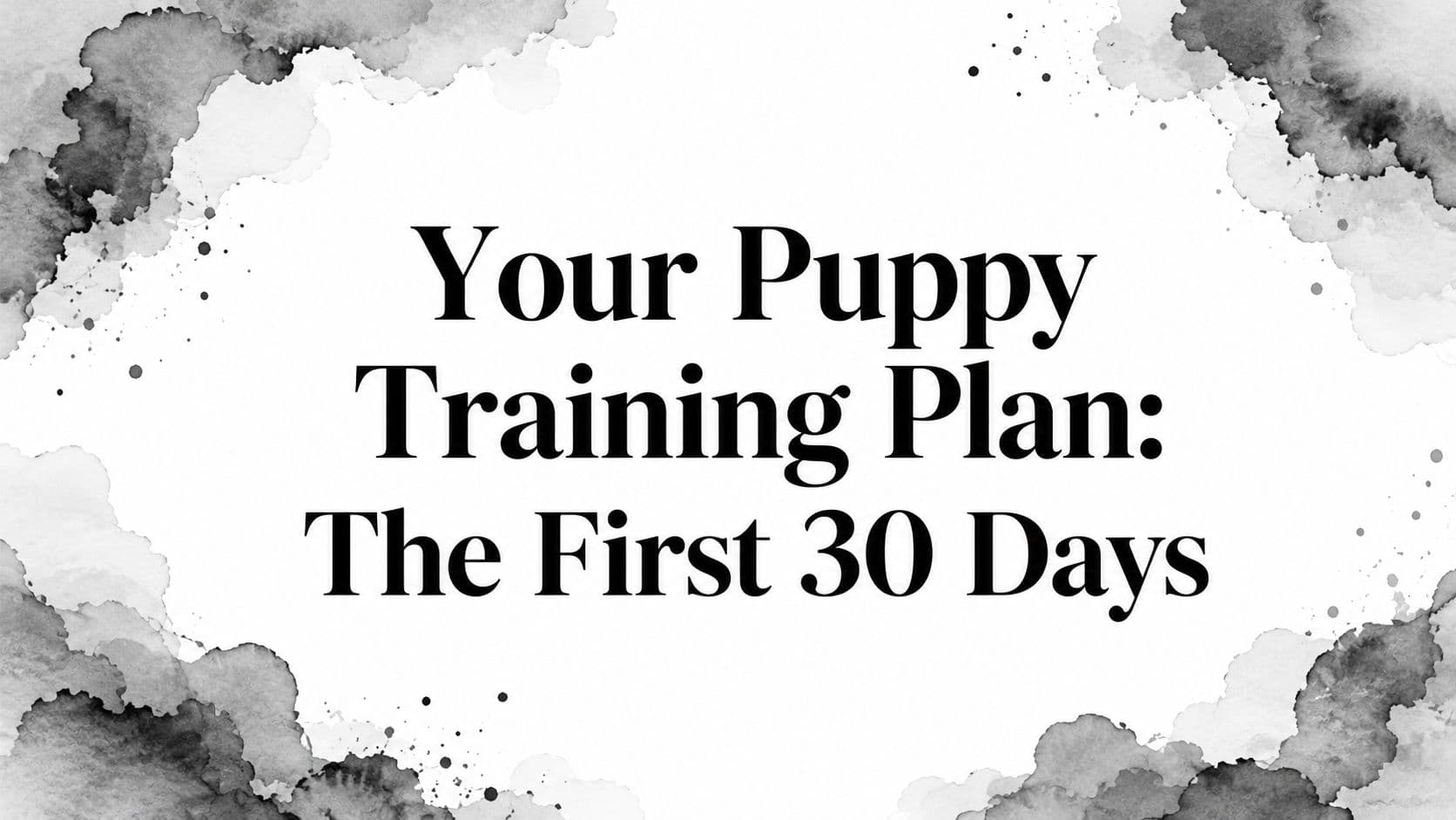 Your Puppy Training Plan: The First 30 Days