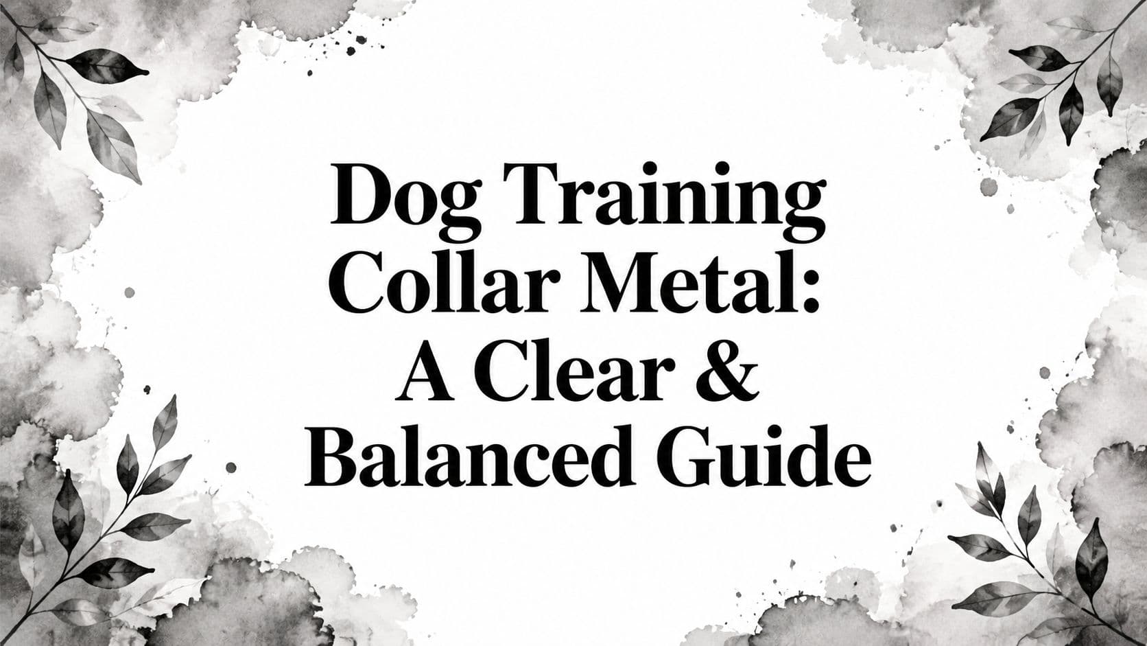 Dog Training Collar Metal: A Clear & Balanced Guide