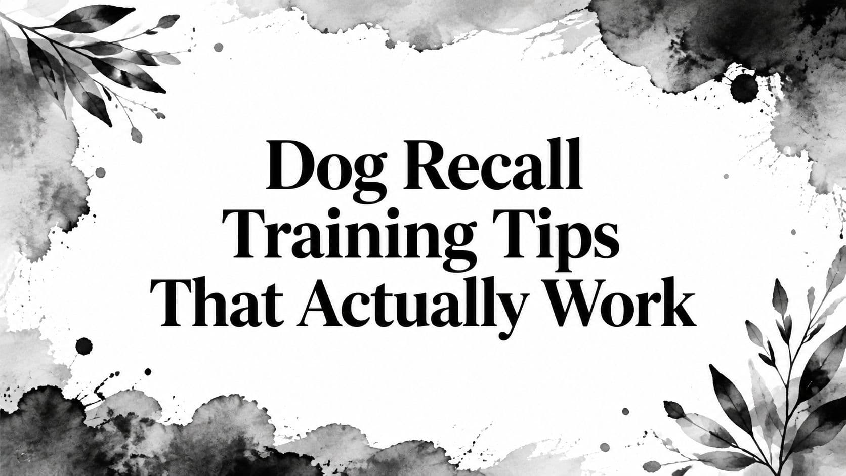 Dog Recall Training Tips That Actually Work