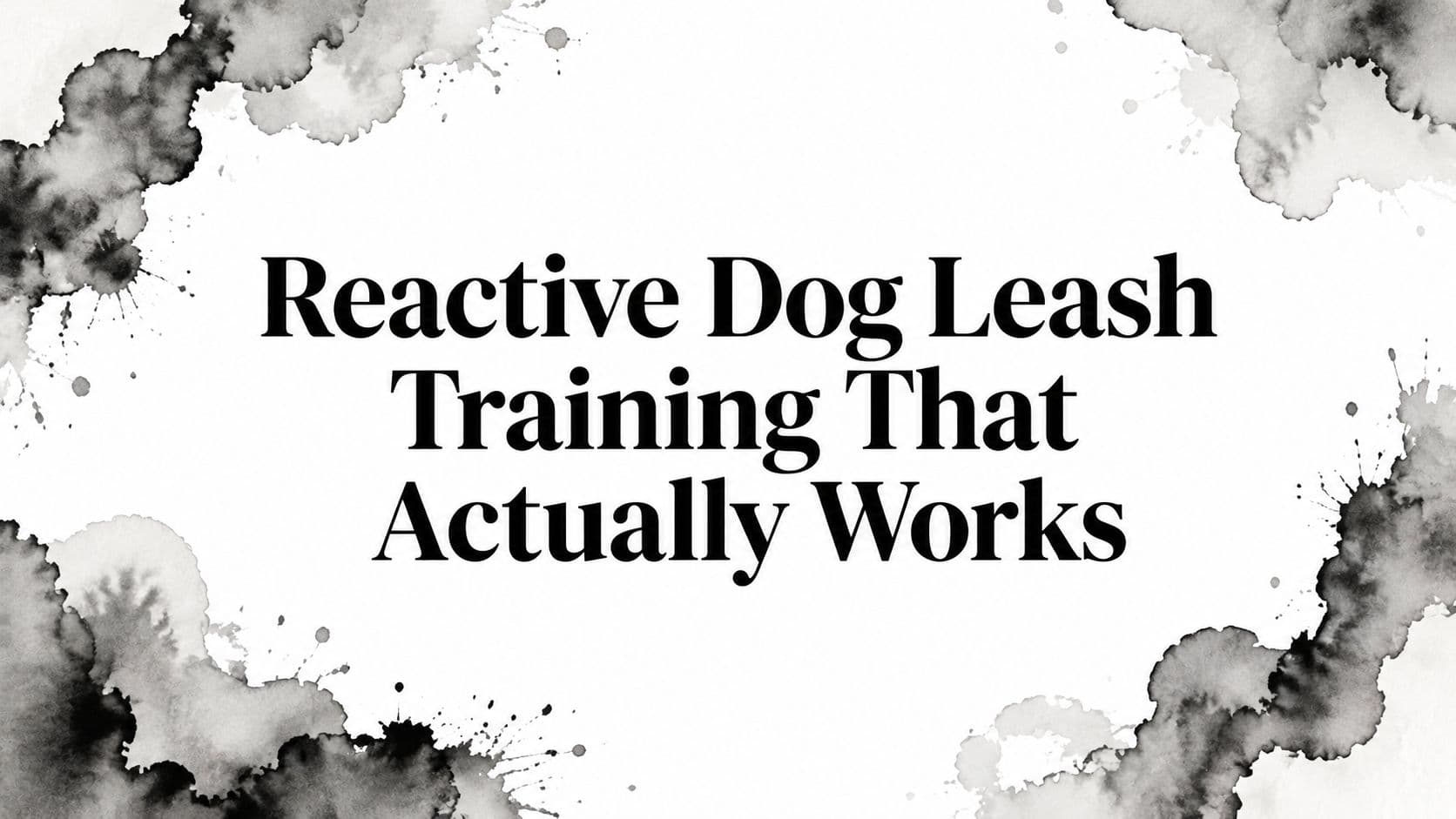 Reactive Dog Leash Training That Actually Works