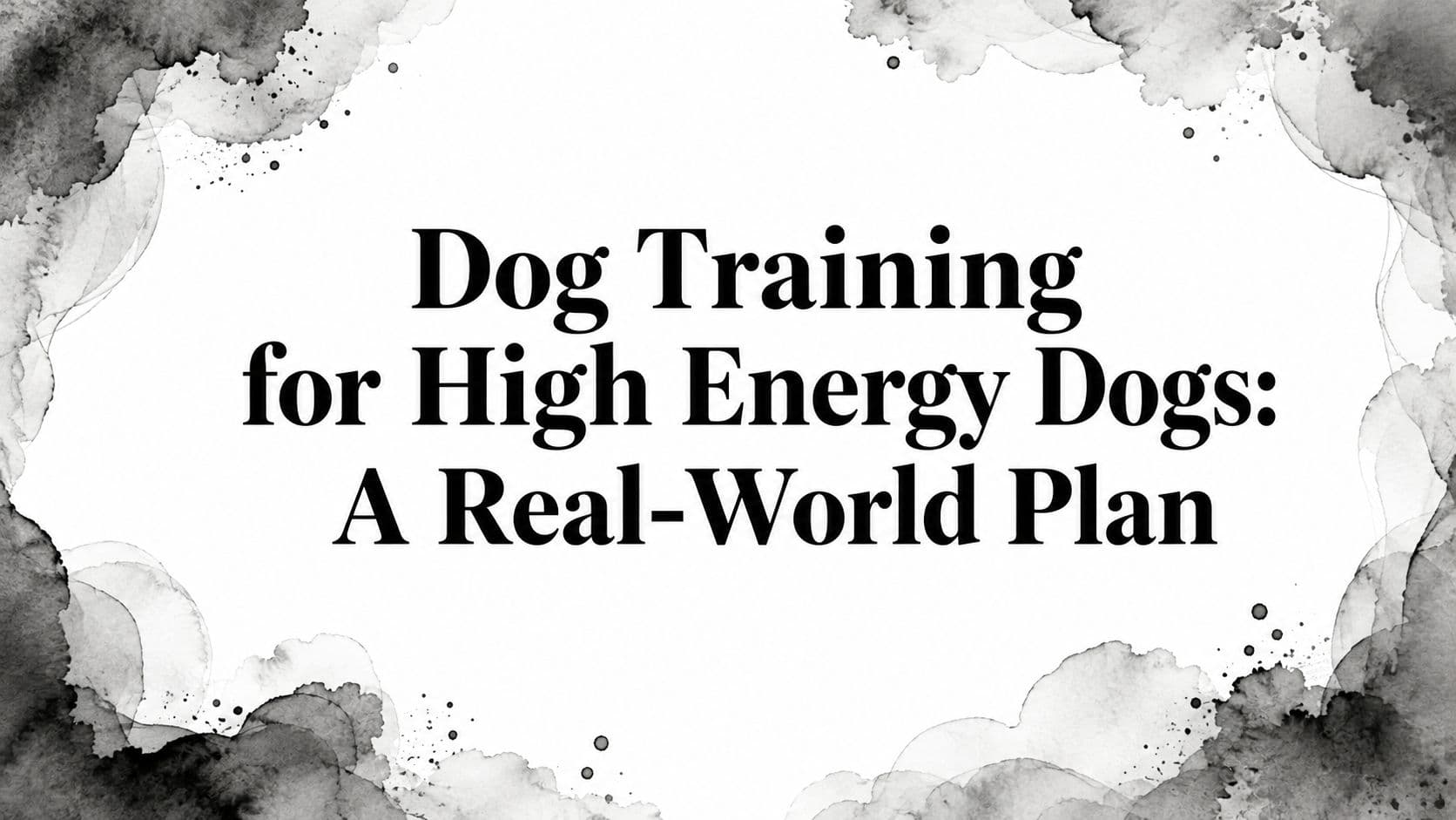 Dog Training for High Energy Dogs: A Real-World Plan