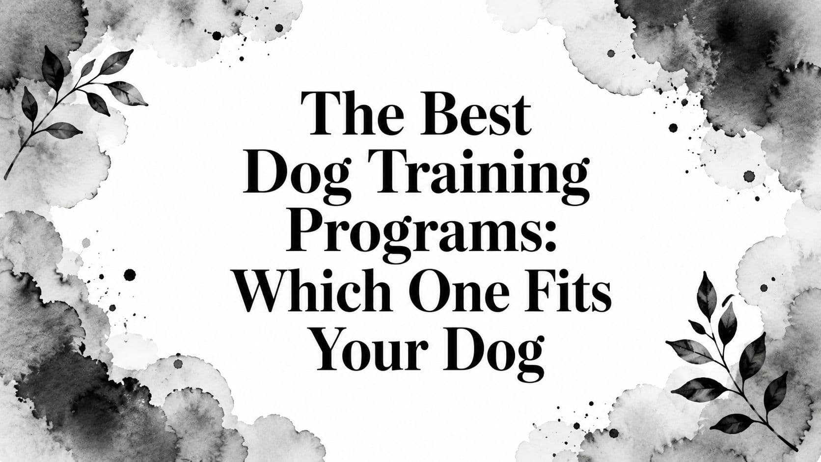 The Best Dog Training Programs: Which One Fits Your Dog