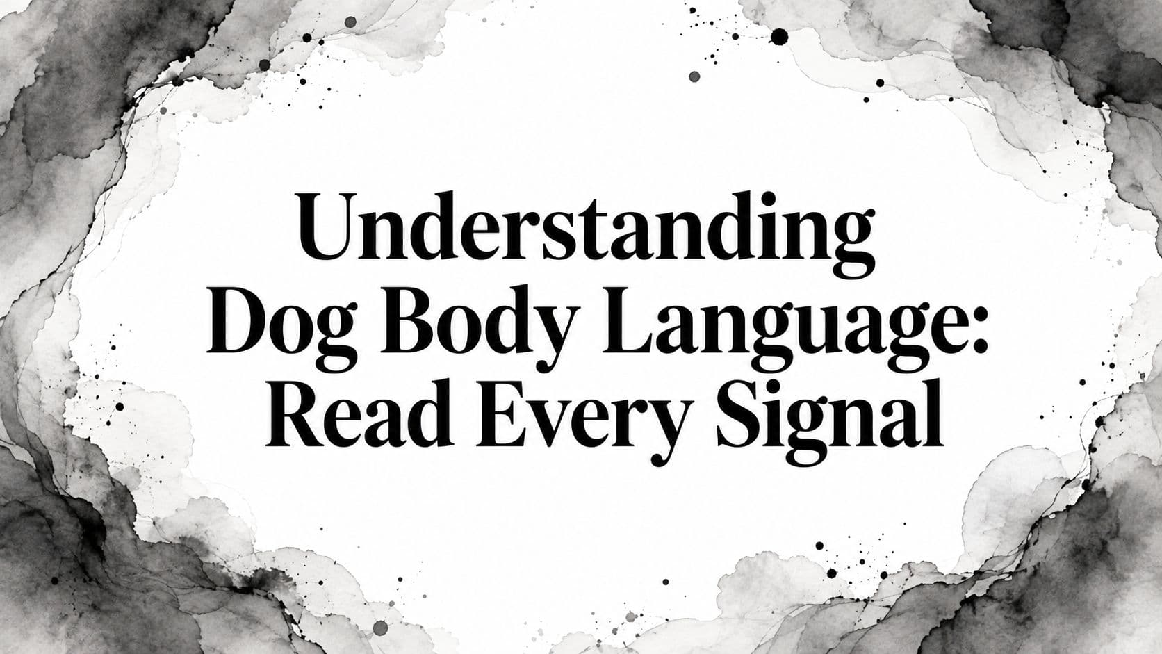 Understanding Dog Body Language: Read Every Signal