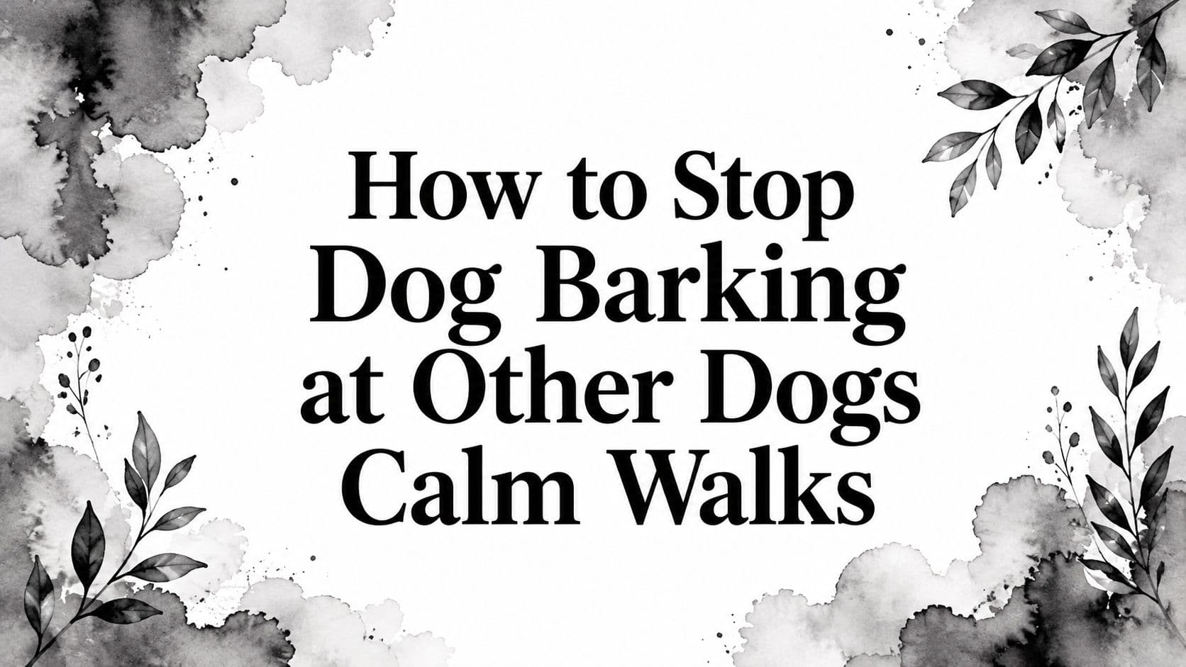 How to Stop Dog Barking at Other Dogs Calm Walks
