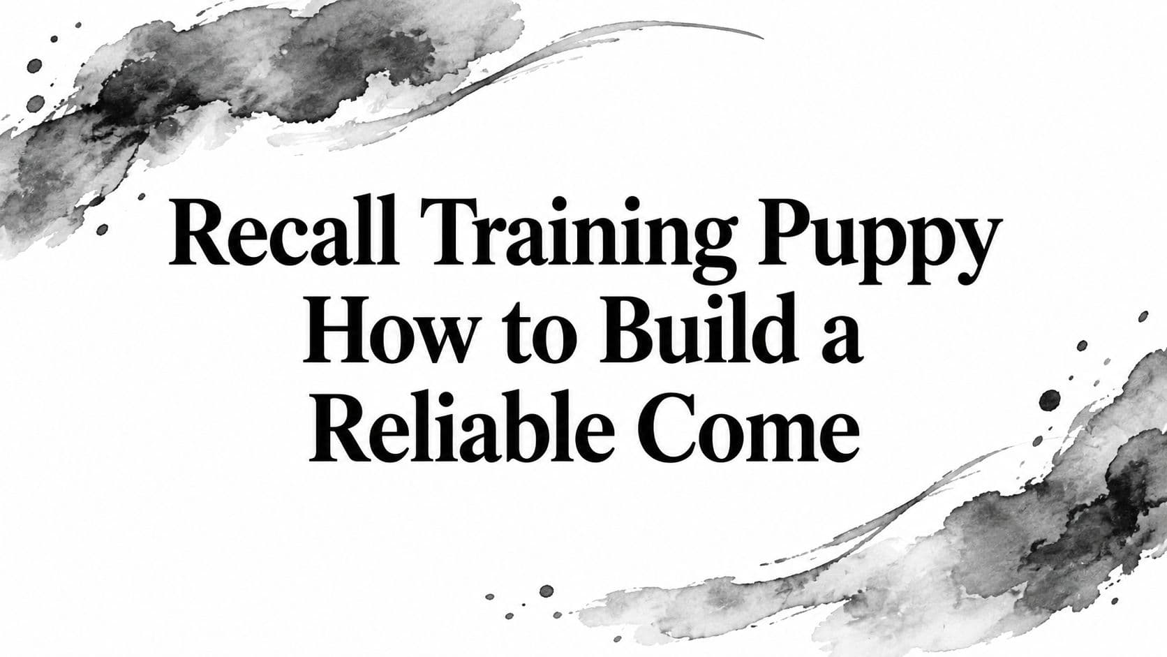 Recall Training Puppy How to Build a Reliable Come