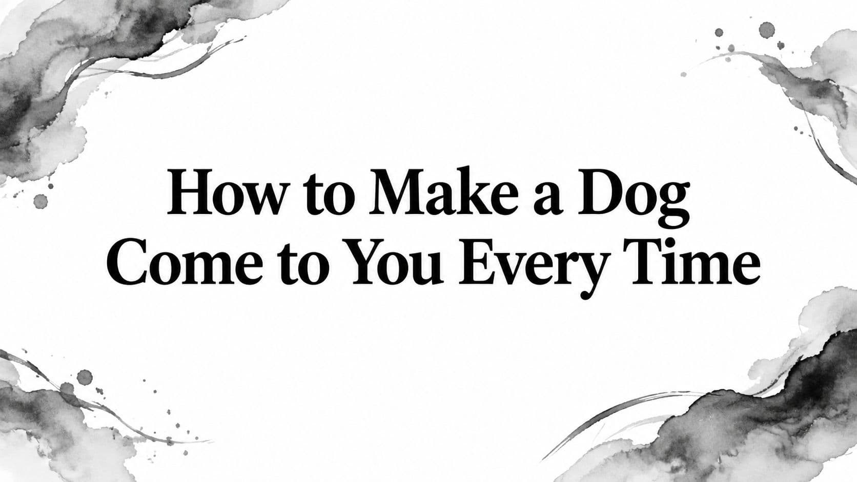 How to Make a Dog Come to You Every Time