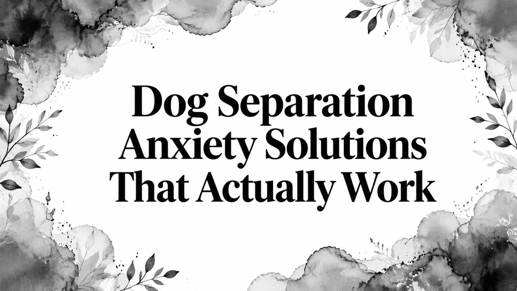 Dog Separation Anxiety Solutions That Actually Work